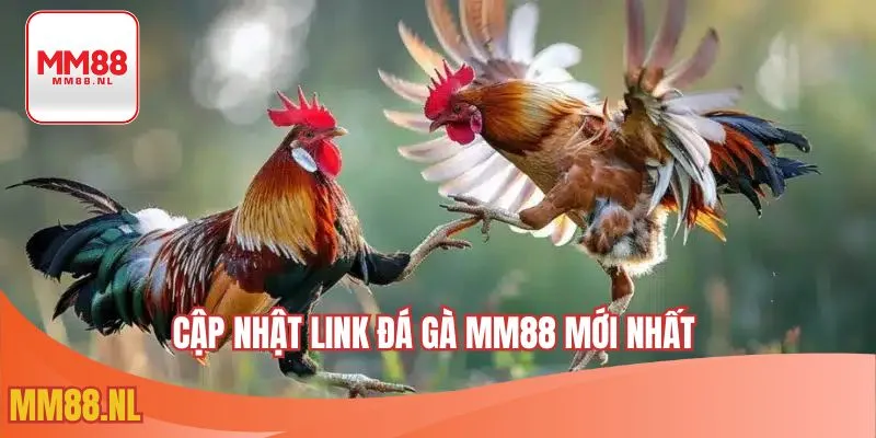 Cập Nhật Link Đá Gà MM88 Mới Nhất Cho Sư Kê Đam Mê Tham Gia