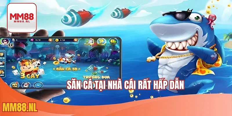 Săn cá tại nhà cái rất hấp dẫn